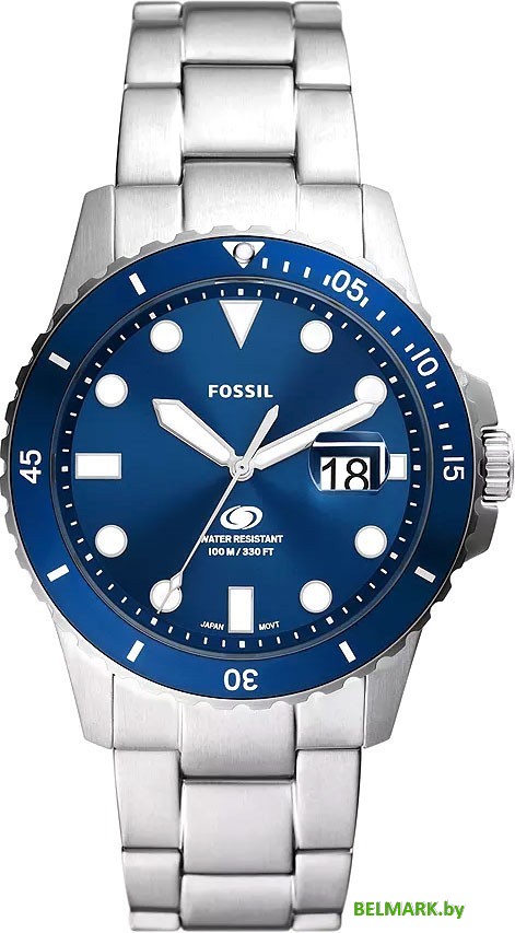Наручные часы Fossil FS6029 - фото