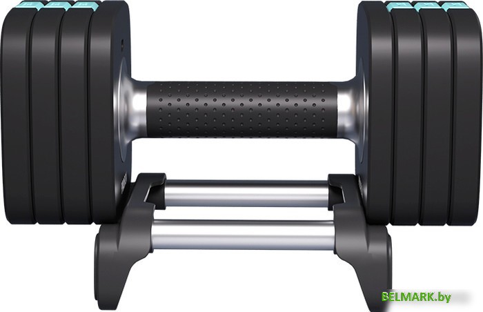 Гантель Proiron ГБ1100Р (10 кг) - фото