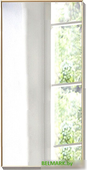 Интерьерные зеркала Алмаз-Люкс М-421 100х50 - фото