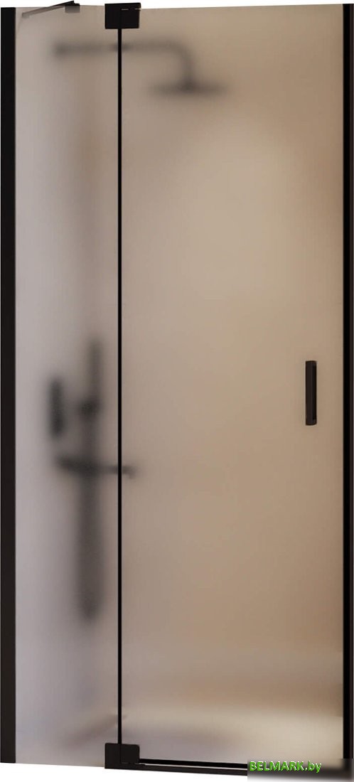 Душевая дверь RGW HO-014B 350601410-24 - фото