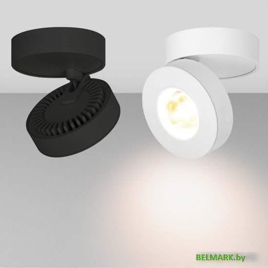 Спот Arlight SP-MONA-SURFACE-R100-12W Warm3000 025443(1) - фото2