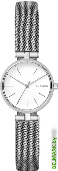 Наручные часы Skagen SKW2642 - фото