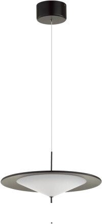 Подвесная люстра Odeon Light Steka 5012/16L - фото