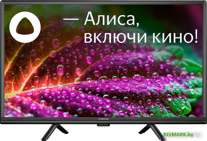 Телевизор StarWind SW-LED24SG304 - фото