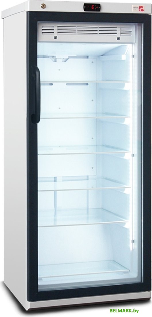 Торговый холодильник Бирюса B235DNZ - фото2