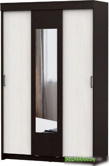 Шкаф-купе NN мебель ШКП 2 (дуб венге/ясень анкор светлый) - фото