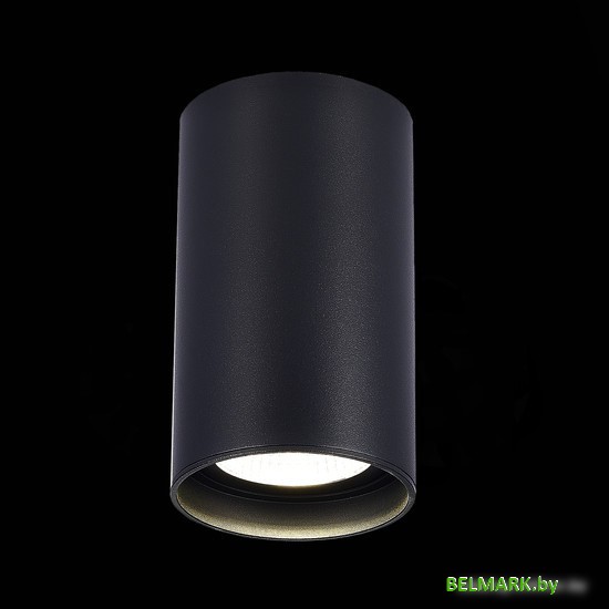 Спот ST Luce ST157.442.20 - фото2