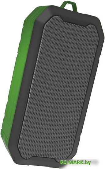 Беспроводная колонка Ritmix SP-350B (черный/зеленый) - фото