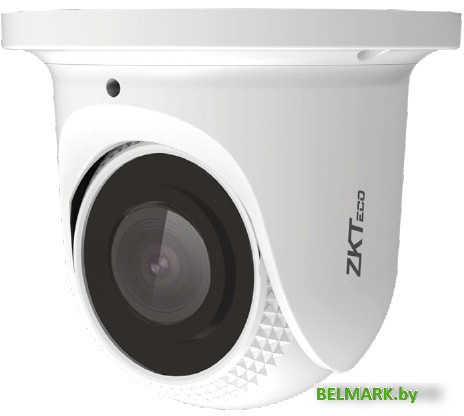 IP-камера ZKTeco ES-852T21C - фото
