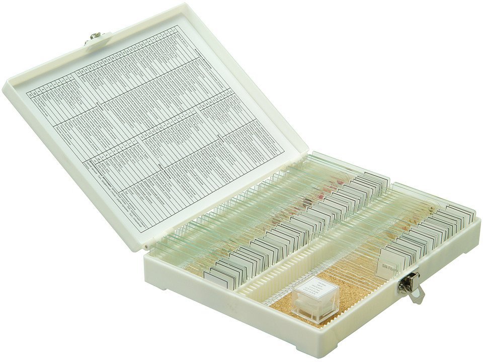 Микромед №80 23319 - фото