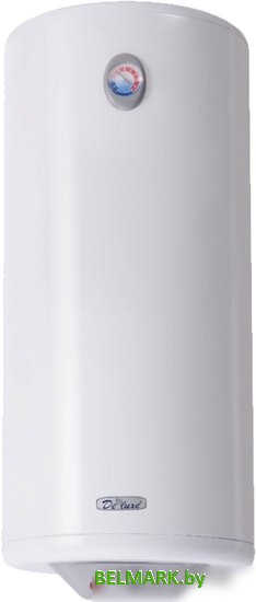 Накопительный электрический водонагреватель De luxe 3W60V1 - фото