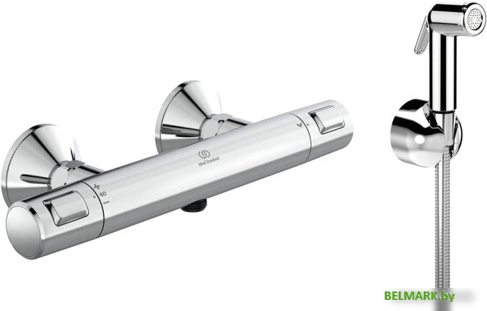 Гигиенический душ Ideal Standard Ceratherm T25 A7201AA + B0595AA - фото
