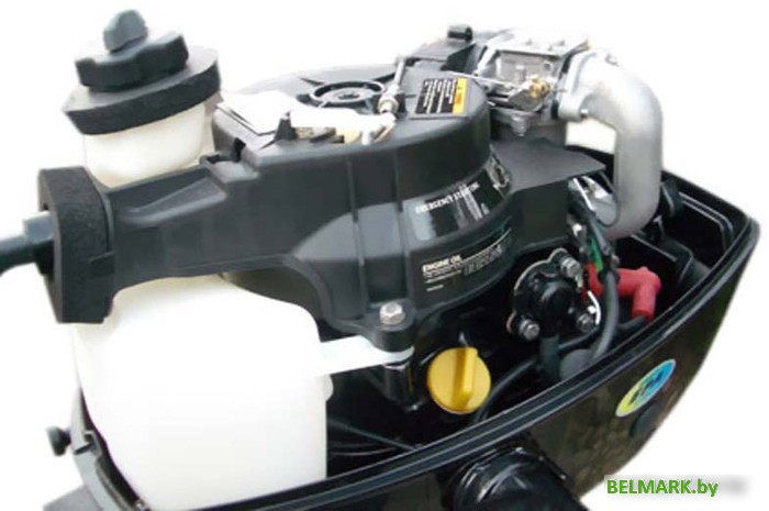 Лодочный мотор Parsun F5 BMS - фото2