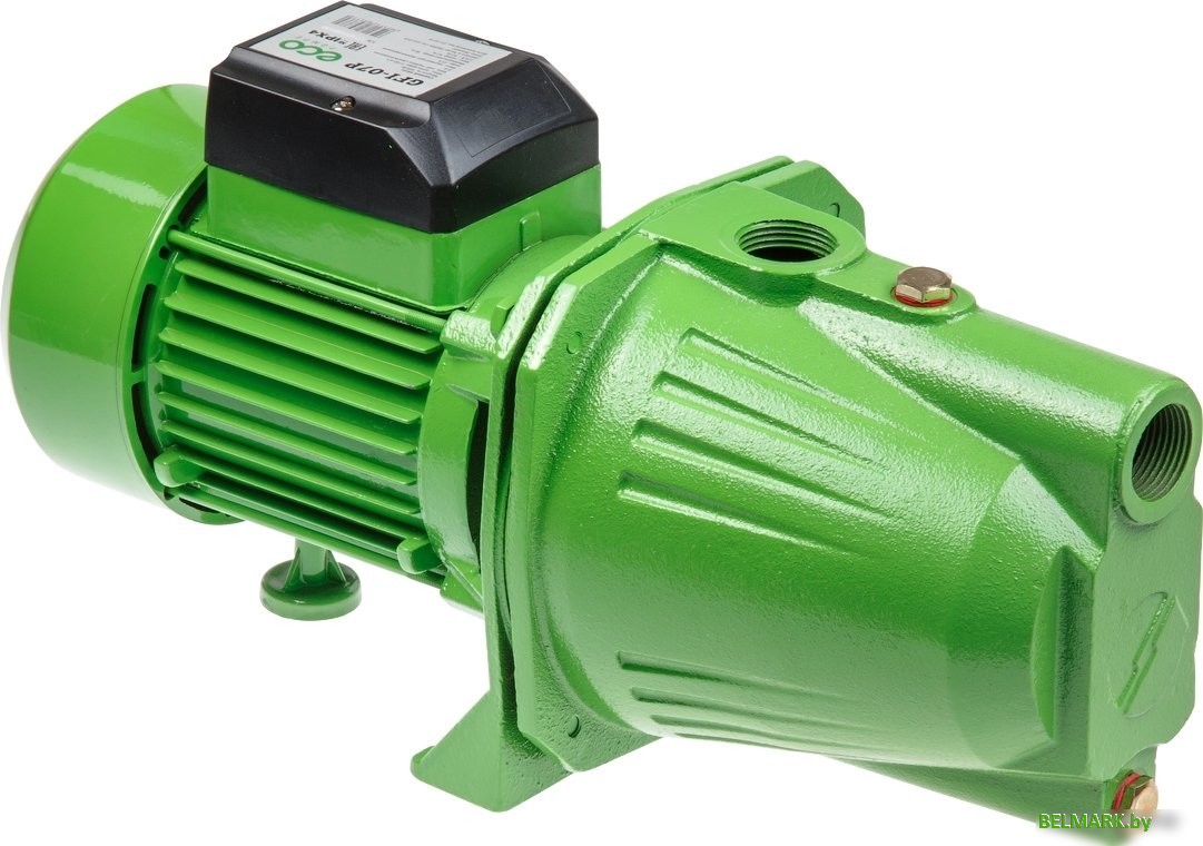 Самовсасывающий насос ECO GFI-07P - фото