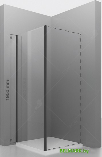 Душевая стенка RGW Z-050-2B 90 (черный/прозрачное стекло) - фото