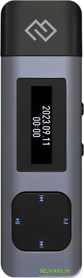 Диктофон Digma DiVoice RV50 - фото