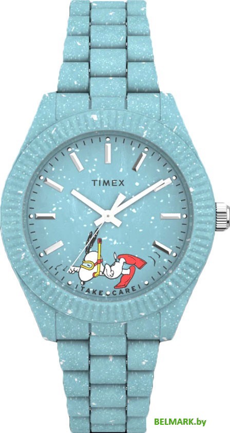 Наручные часы Timex TW2V53200 - фото