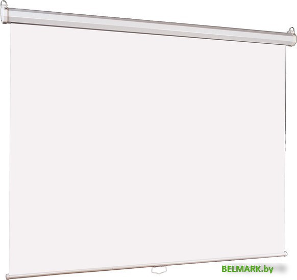 Проекционный экран Lumien Eco Picture (LEP-100101) - фото