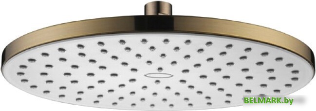 Верхний душ Kaiser SH-280 - фото