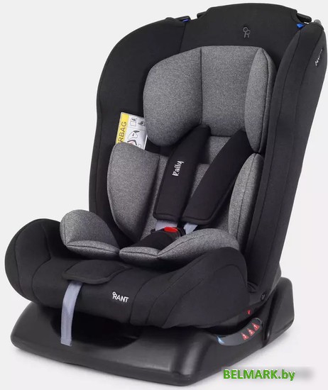 Детское автокресло Rant Basic Rally ZY19 (серый) - фото