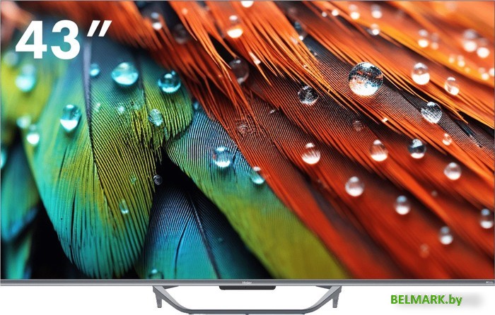 Телевизор Haier 43 Smart TV S4 - фото