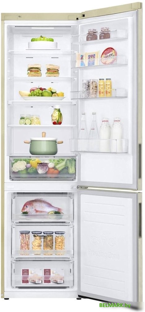 Холодильник LG DoorCooling+ GA-B509CESL - фото2