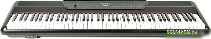 Цифровое пианино Jonson&Co JC-1800 BK - фото2
