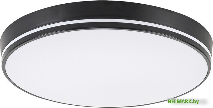 Припотолочная люстра LED4U L3034-380 BK - фото