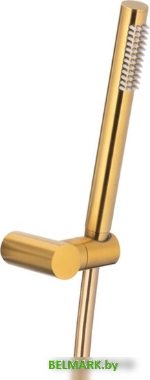 Душевой гарнитур Armatura Moza Premium 841-225-31 - фото