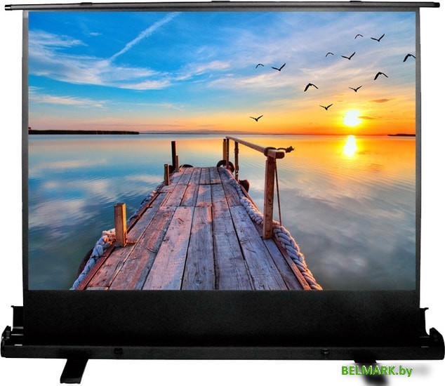 Проекционный экран CACTUS FloorExpert 113x200 CS-PSFLE-200X113 - фото