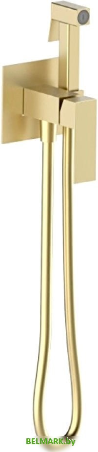 Гигиенический душ Vieir V362551-S - фото