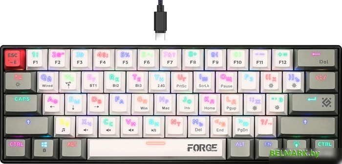 Клавиатура Defender Forge GK-345 (Outemu Brown) - фото