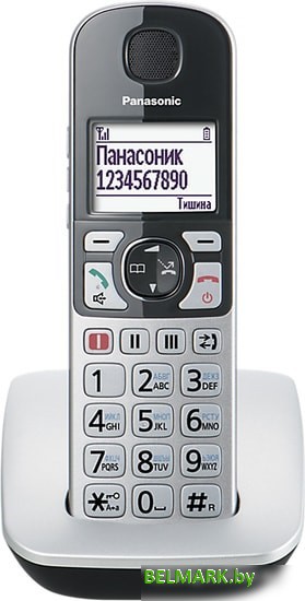 Радиотелефон Panasonic KX-TGE510RUS - фото2