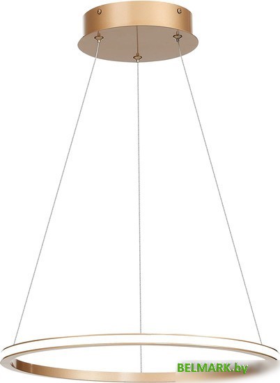 Припотолочная люстра ST Luce Out ST604.243.22 - фото