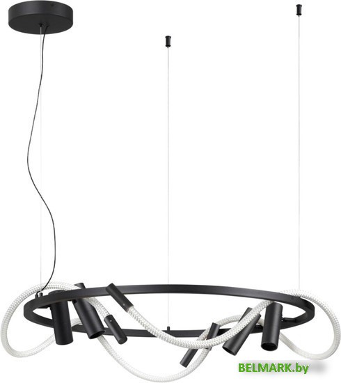 Подвесная люстра Odeon Light Corda 4391/55L - фото