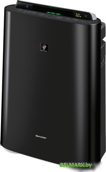 Очиститель и увлажнитель воздуха Sharp KC-D41RB - фото