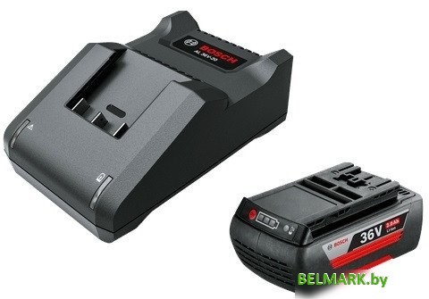 Аккумулятор с зарядным устройством Bosch F016800609 (36В/2 Ah + 36В) - фото