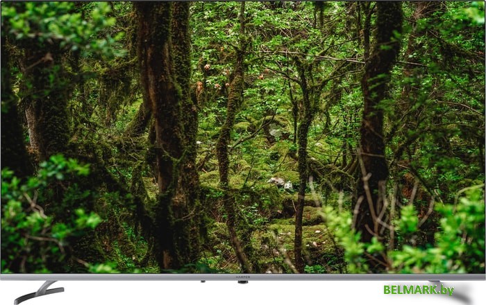 ЖК телевизор Harper 65U770TS - фото