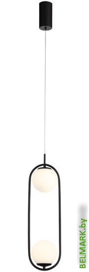 Подвесная люстра ST Luce Donolo SL395.403.02 - фото