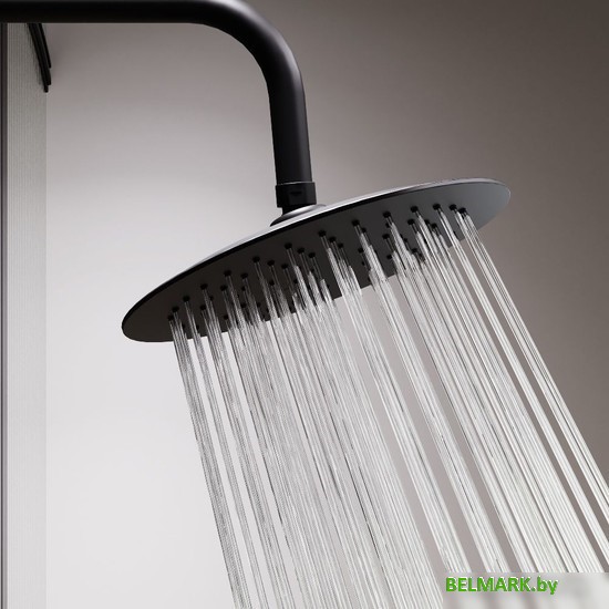 Душевая система Damixa Scandinavian Pure 936730300 - фото2