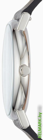 Наручные часы Skagen SKW6434 - фото2