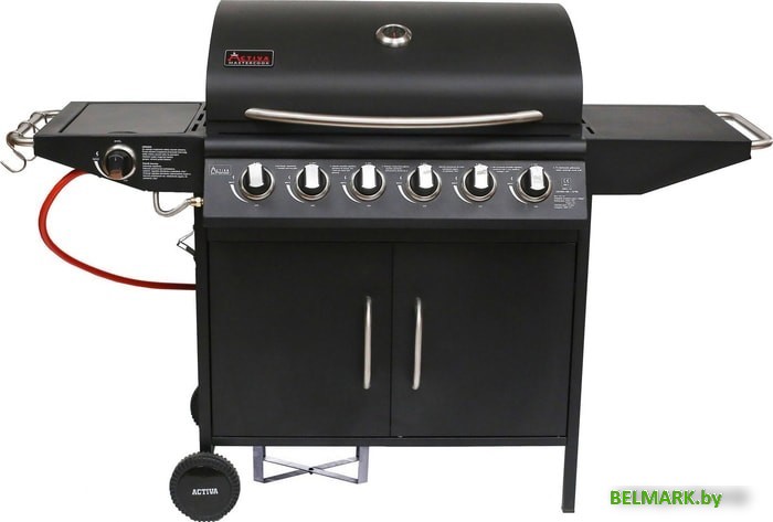 Газовый гриль для дачи Activa Florida III 19786G - фото