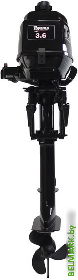 Лодочный мотор Toyama TC3.6BMS - фото2