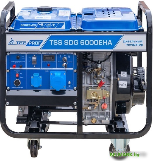 Дизельный генератор ТСС SDG 6000EHA - фото2