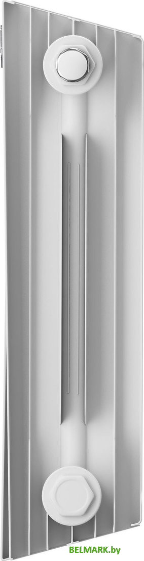 Биметаллический радиатор Royal Thermo PianoForte 300 Белый - 10 секций - фото2