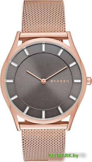 Наручные часы Skagen SKW2378 - фото