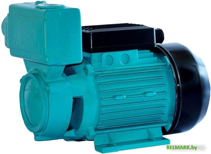 Самовсасывающий насос Greenpump WZ 750 - фото