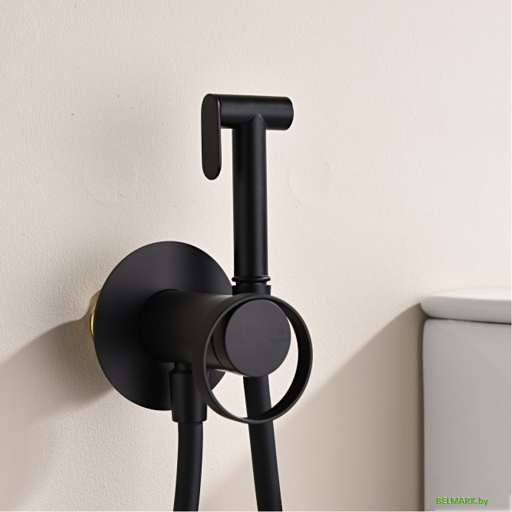 Гигиенический душ Ganzer GZ19157-C - фото2