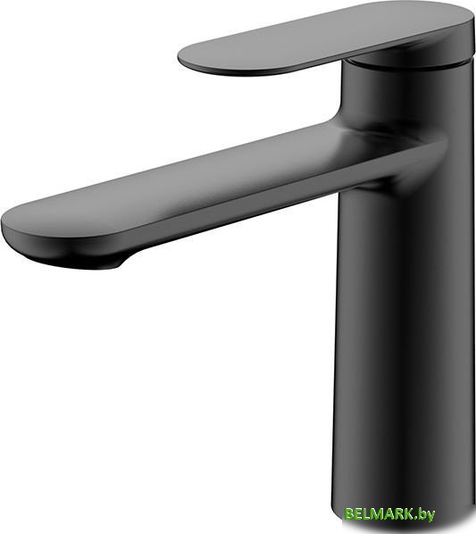 Смеситель Kaiser Arena 33211-9 - фото