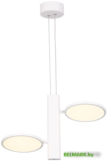 Подвесная люстра Lussole Aberdeen LSP-7085 - фото2